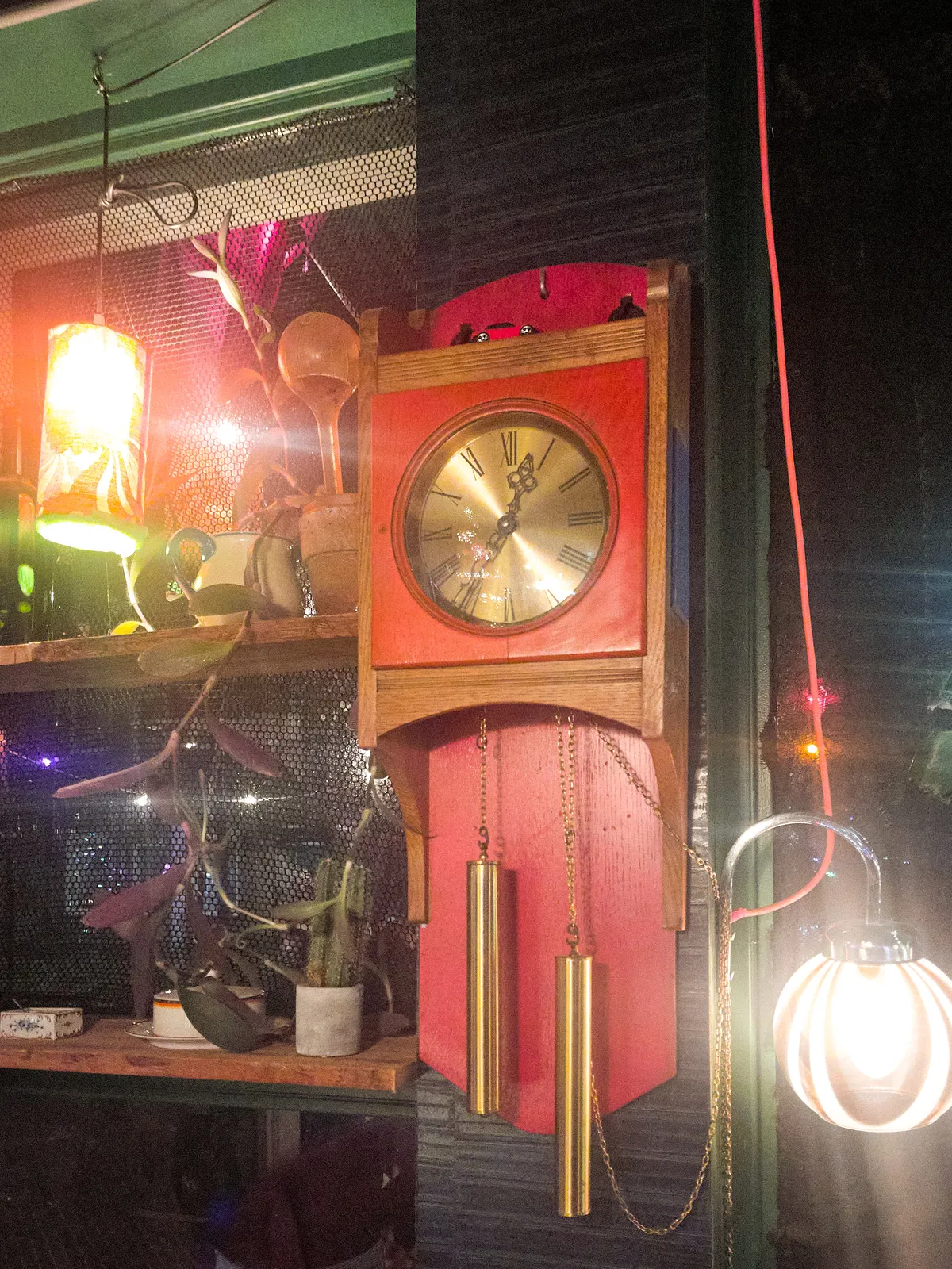 Surrounded by lamps and plants on shelves, there’s a red, mechanical wall clock. It points at 36 minutes past 12.