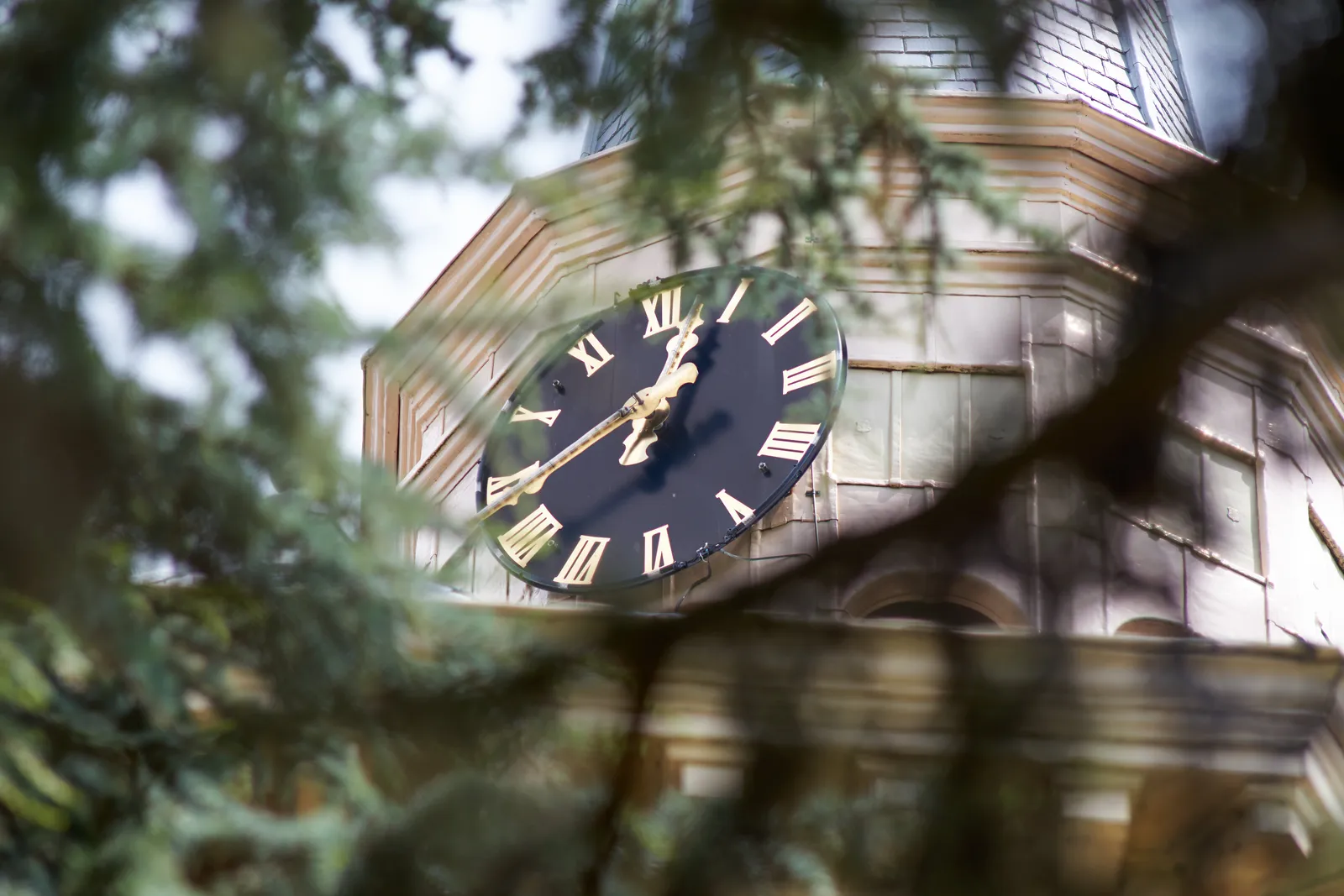 Looking through some branches at a clock. It points at 17 to one.