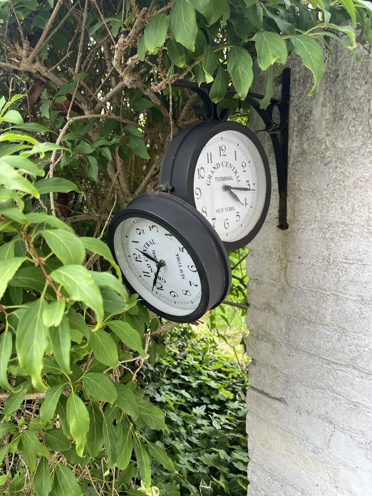 A clock is attached to a white wall, in front of some greenery. One of the faces is still in place, the other one is dangling. The dangling one points at nine minutes to one, the other one points at 16 minutes past four.