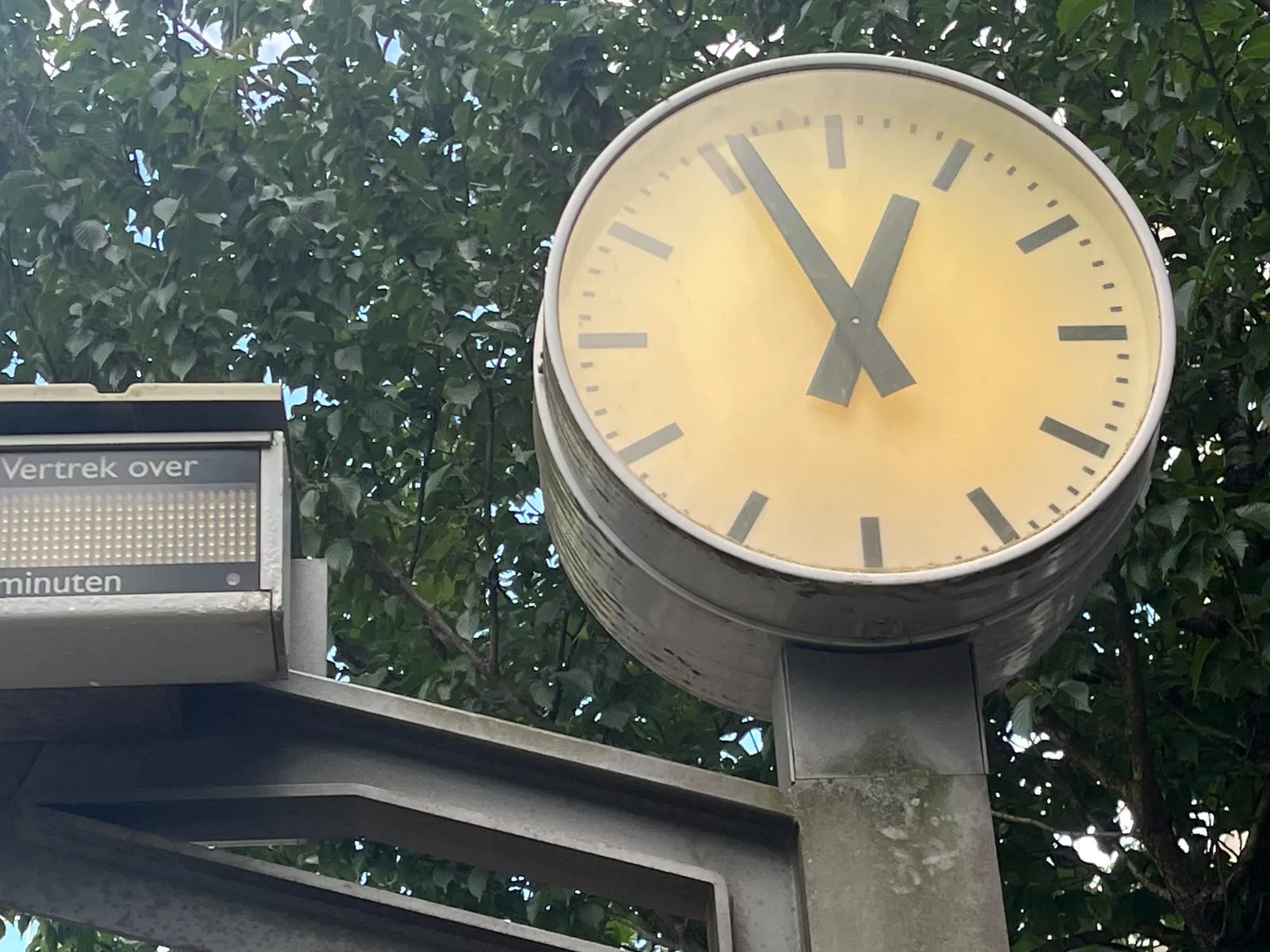 A clock on an industrial pole, in front of a tree with dark green leaves. It points at 4 minutes to one.