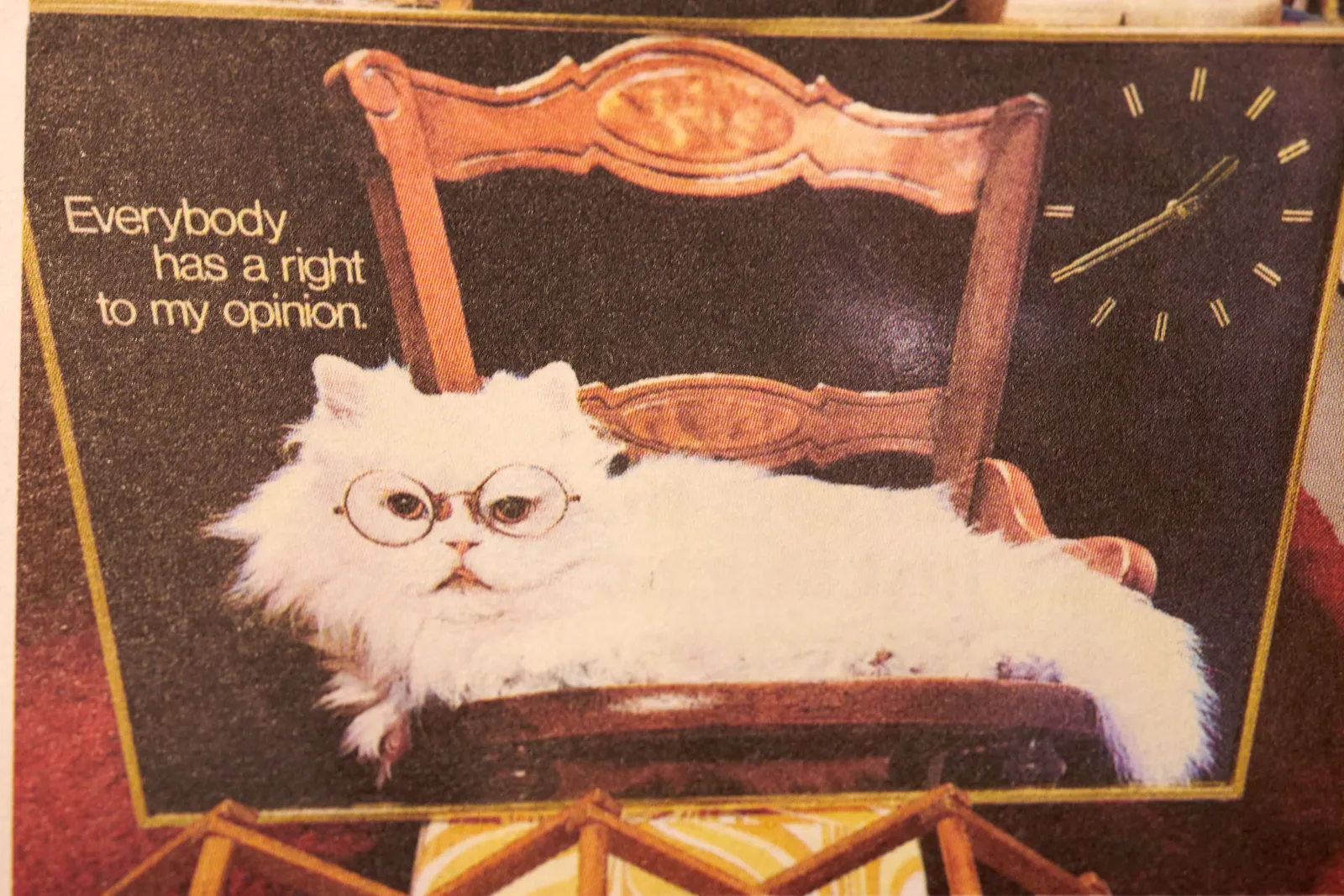 A picture taken from the Poezenkrant, a Dutch artistic newspaper about cats. A clock with a long haired white a cat printed on it, who says Everybody has a right to my opinion. The time on the clock is 40 past one.
