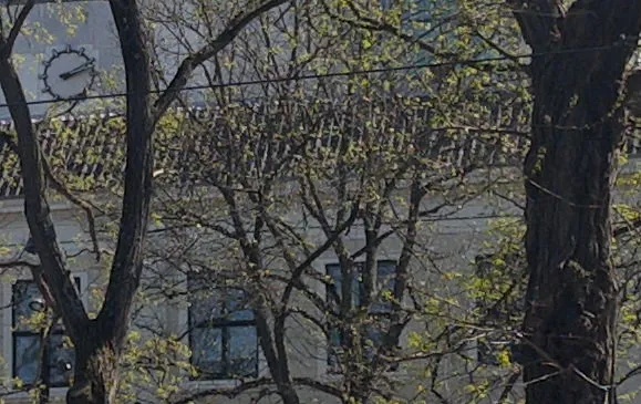 Peeking through the branches of some large trees. Behind the trees there’s a large monumental building with a clock. It points at 10 past 2.