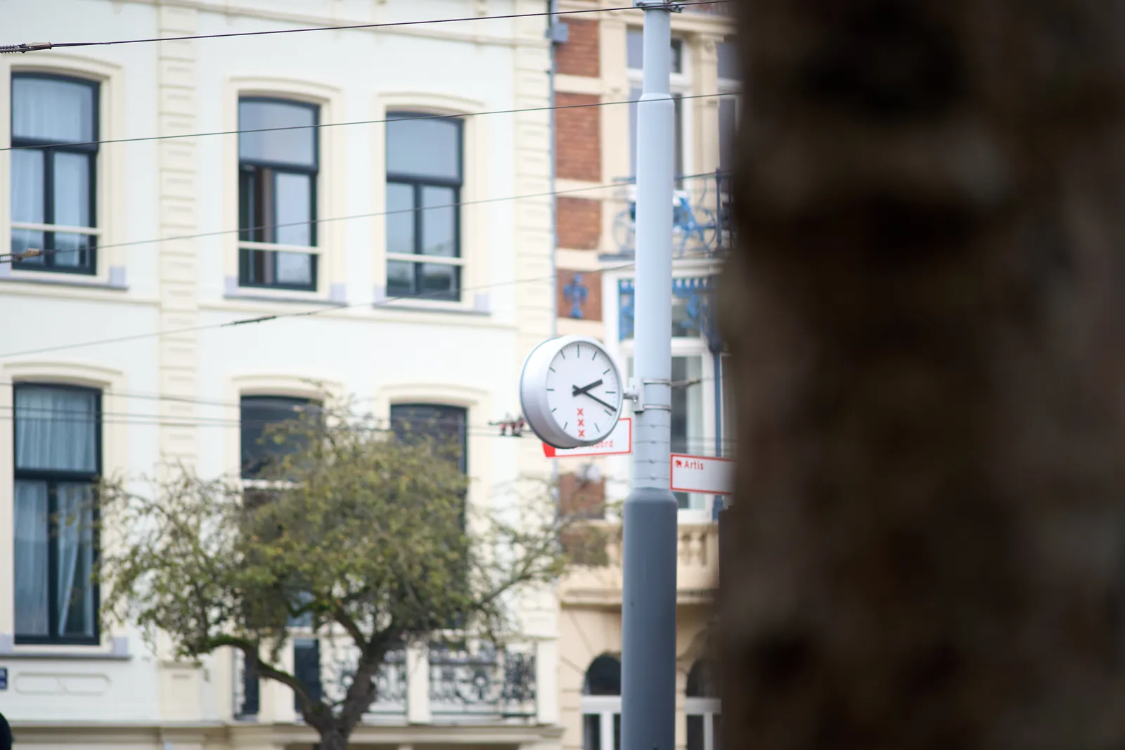 Peeking past a tree at a clock, attached to a pole, in front of some buildings. The clock points at 19 minutes past 2.
