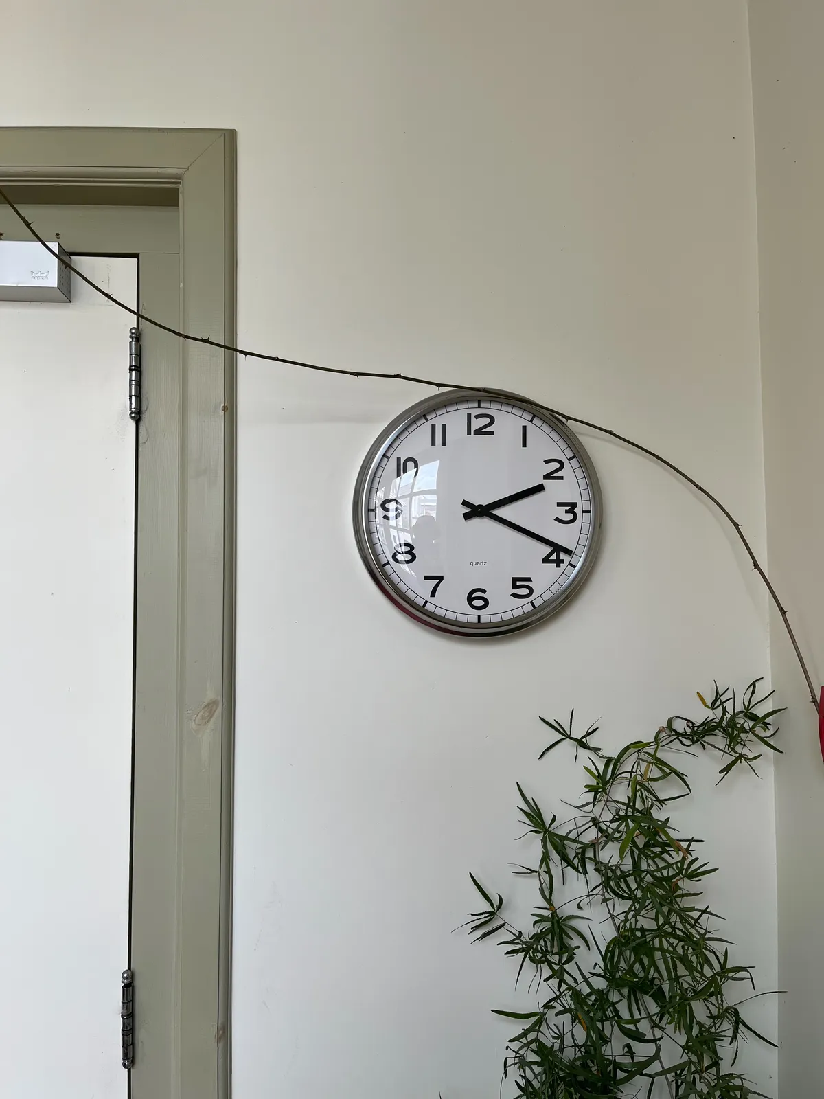 On this picture there’s a part of a wooden door, in a wooden frame, there’s a green plant, and there’s a modernist wall clock on a white wall. The clock points at 19 minutes past 2.