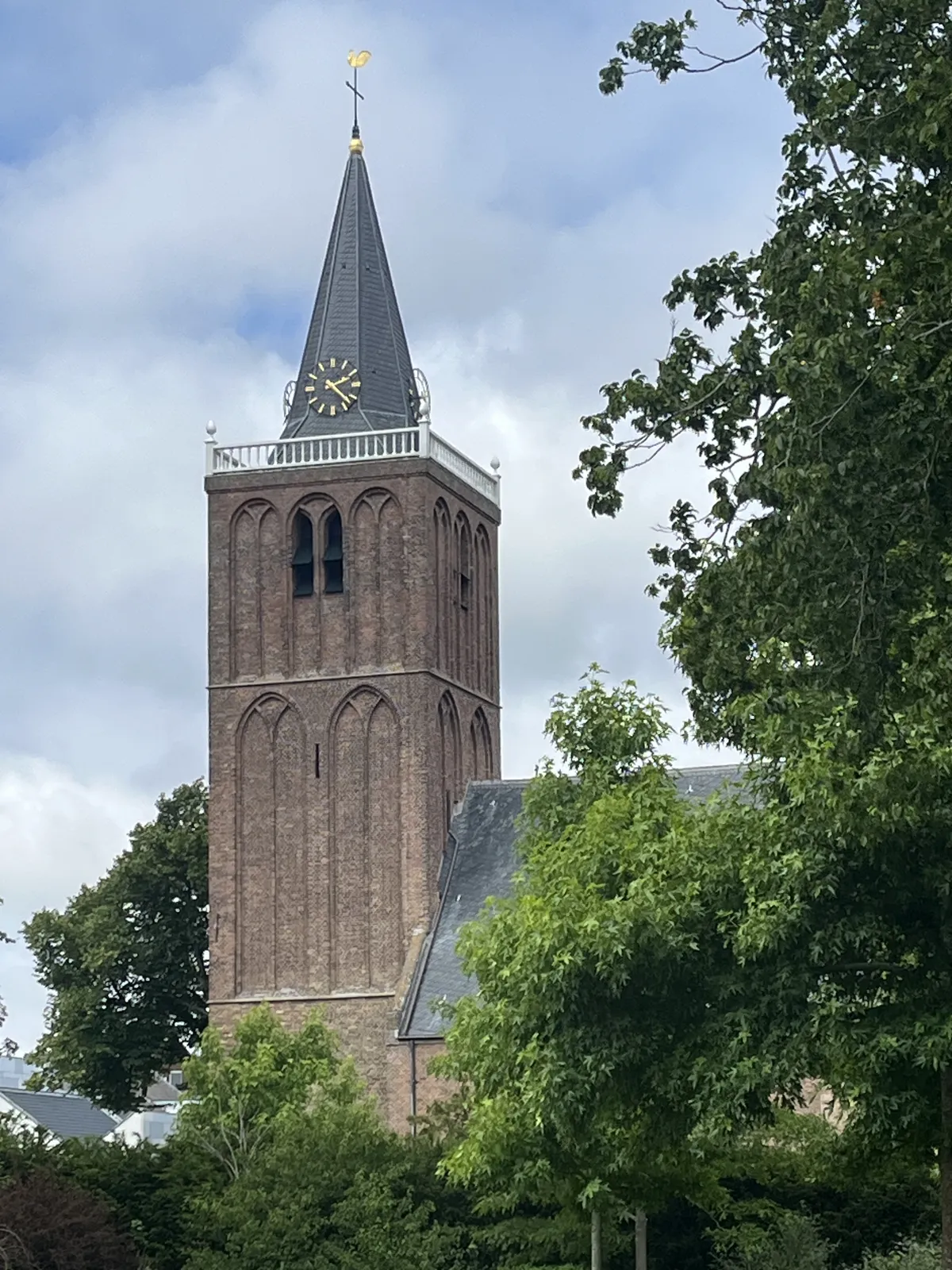 Between some very green trees, an old, monumental Dutch town church, with a golden, rooster shaped wind vane on top of the tower. The clock on this tower points at 22 minutes past 2.