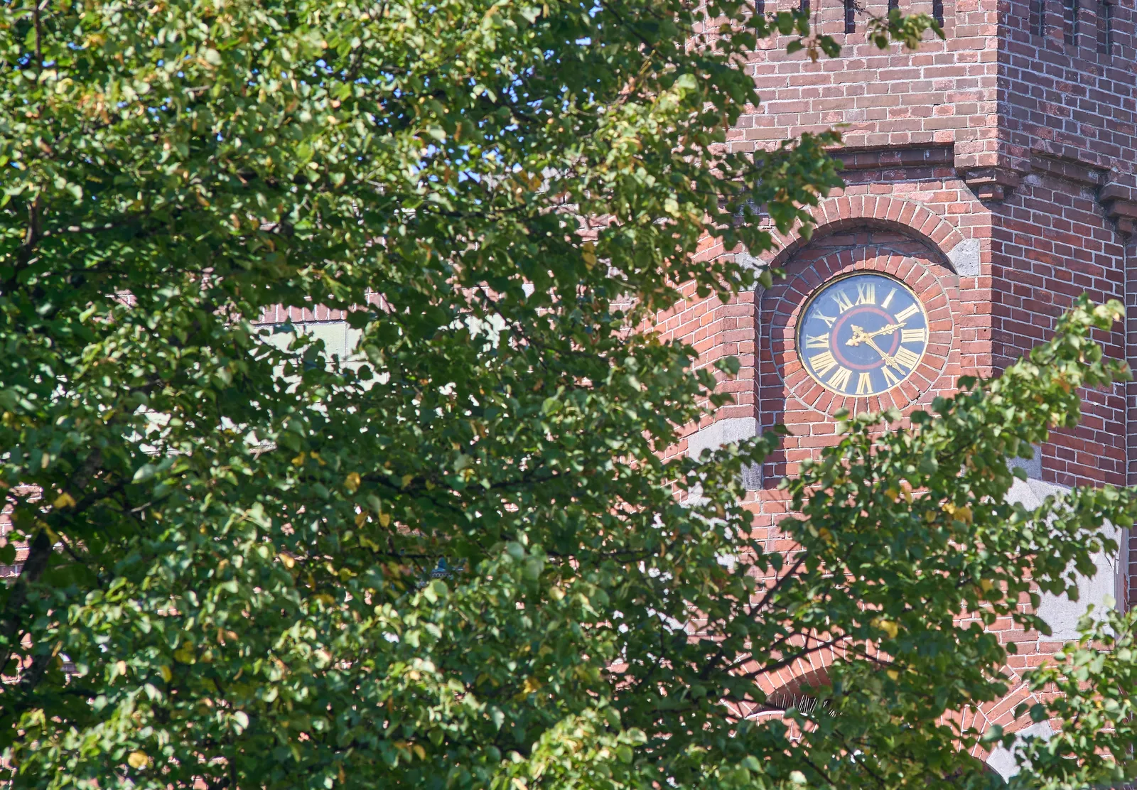 Peeking through the green leaves of a tree at a clock, built into a brick building. It points at 23 minutes past 2.
