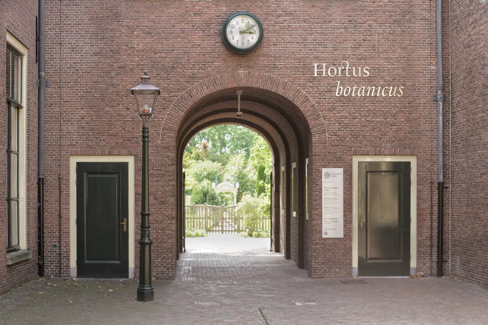 Over the gateway to the Hortus Botanicus there’s a clock. It points at 10 past 3.