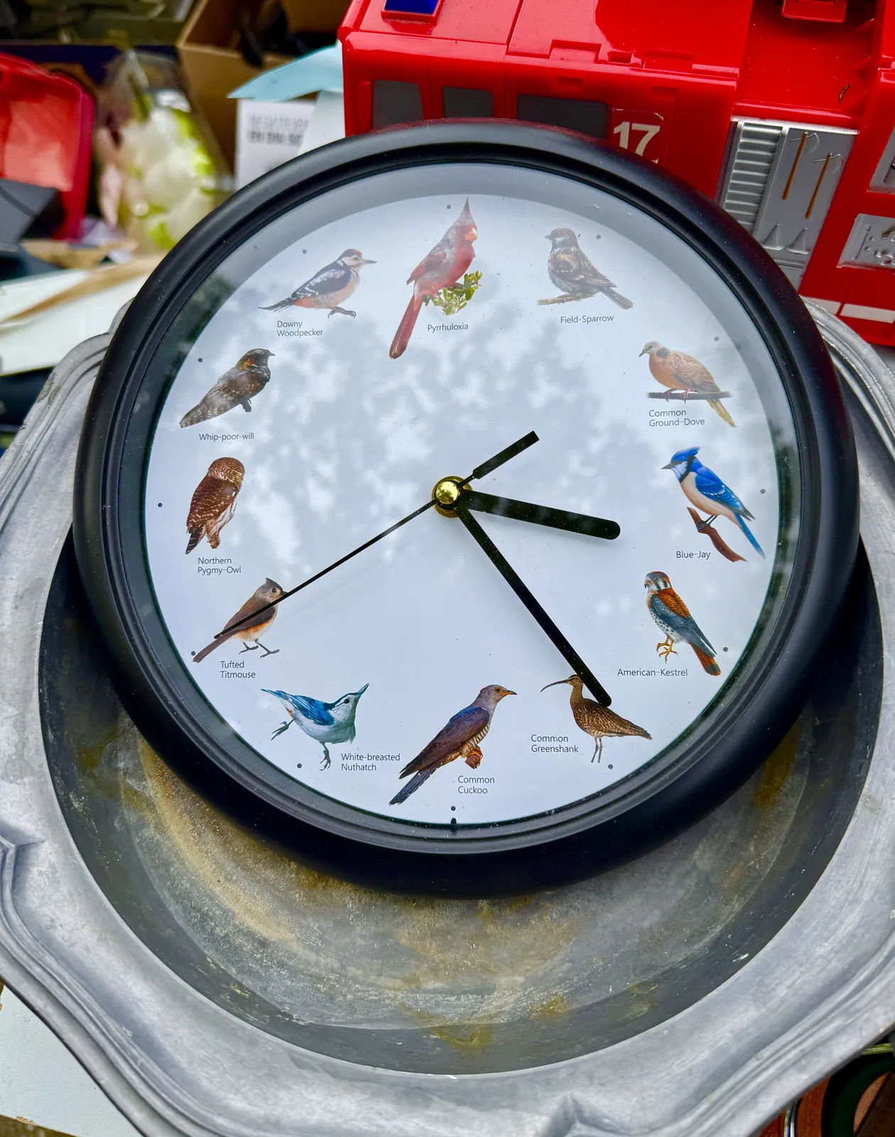 A clock with twelve birds in its face, instead of the numbers of the hours. There’s a field-sparrow at one, a common ground-dove at two, a blue jay at three, an americal kestrel at four, a common greenshank at five, a common cuckoo at six, a white-breasted nuthatch at seven, a tufted titmouse at eight, a northern pygmy-owl at nine, a whip-poor-will at ten, a downy woodpecker at eleven, and a pyrrhuloxia at twelve. The clock points at 24 minutes past blue-jay.