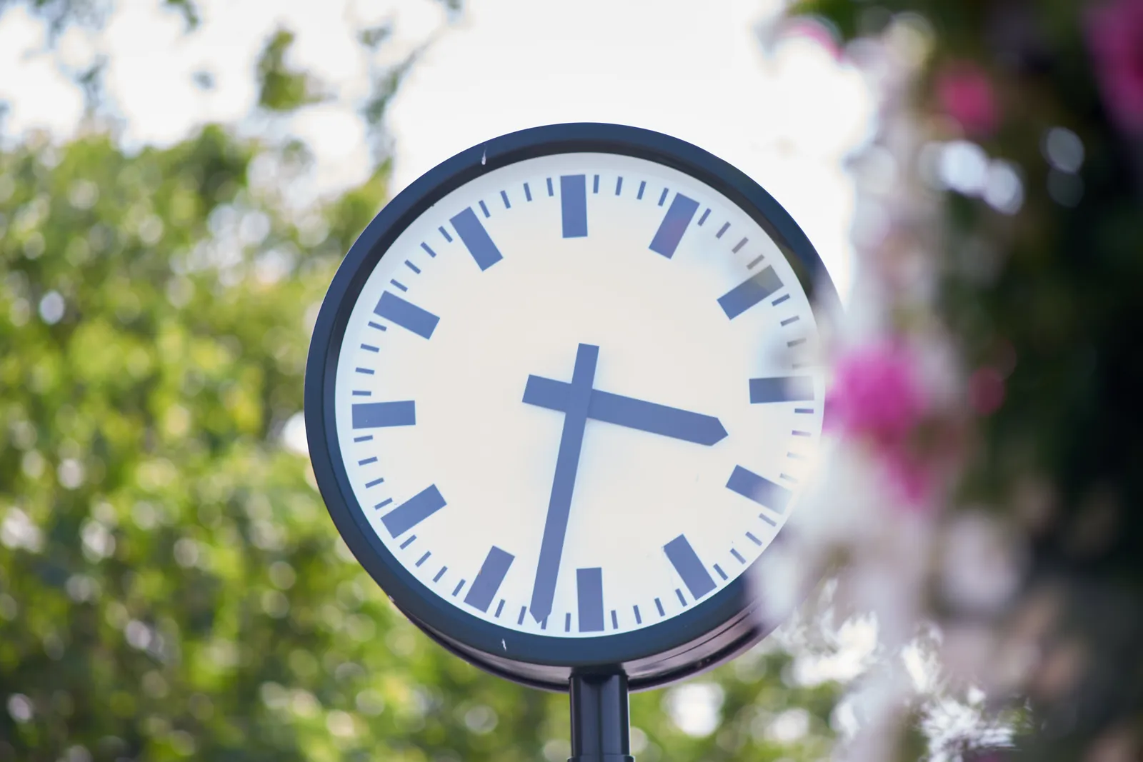 In front, out of focus are some flowers. In the back, also blurry, are some trees. Between these two there’s a clock, in focus, which points at 32 past 3.