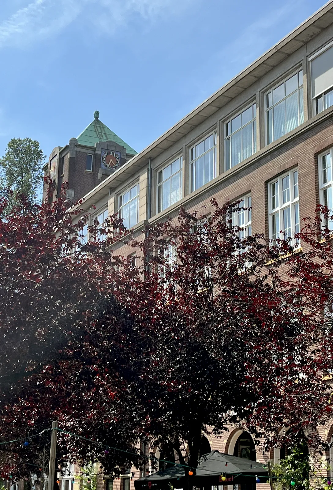 In the foreground there are some trees with dark leaves, and some parasols below them. Behind the trees there’s a large, monumental brick building. On top of the building, at the back, there’s a tower with a clock on it. It points at 33 minutes past 4.