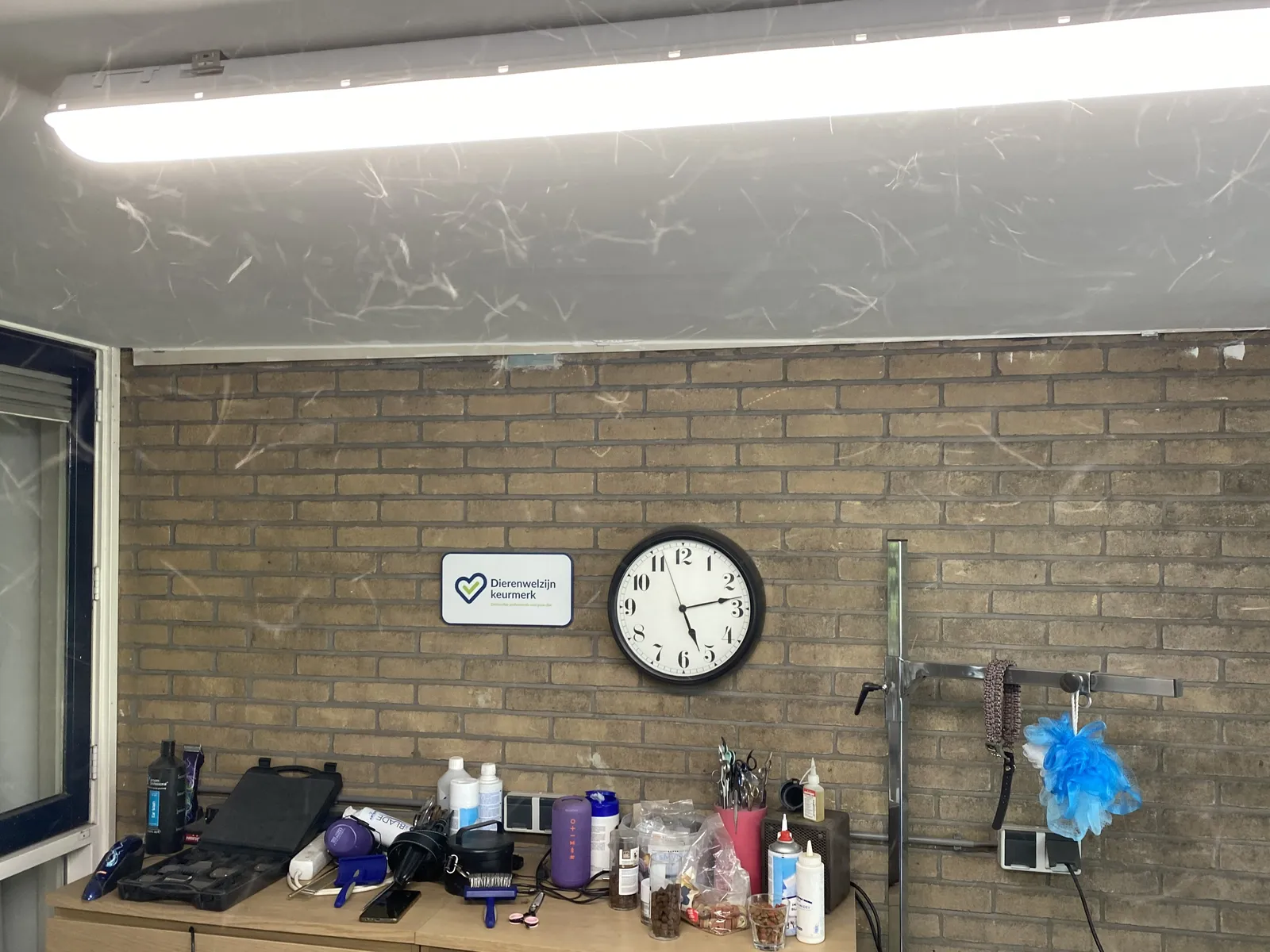 A clock on a wall above a table points at 13 past 5. There are all kinds of barber-like tools on the table. And if you look closely you can see that it’s a dog’s barbershop. And if you look even closer you can see dog hair flying around. 