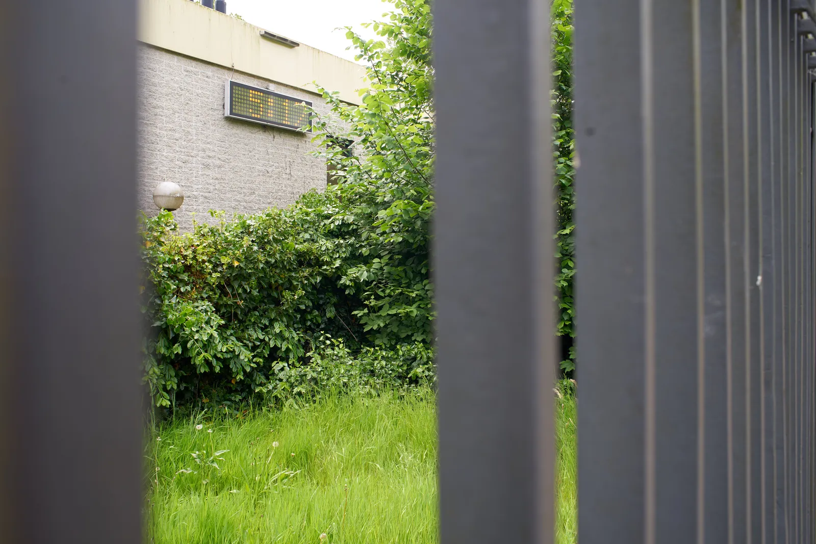 Peeking thru the bars of a fence. Attached to a gray stone building there’s a digital clock that says it is 17 past 5.