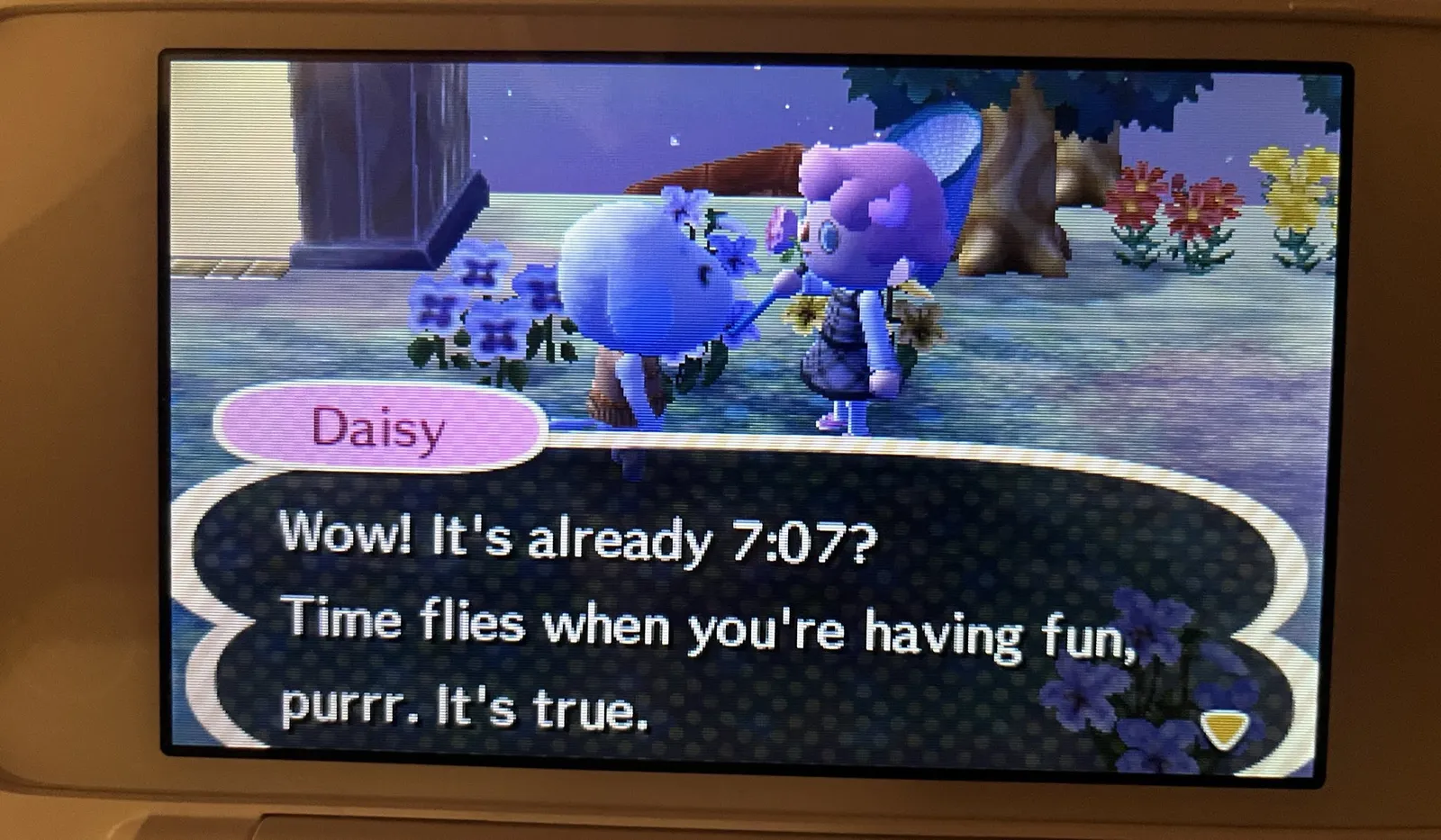 A scene in Animal Crossing, a game on a nintendo 3ds. There are two characters talking. One of them is Daisy, and what she says is transcribed as: Wow! It’s already 7.07? Time flies when you’re having fun, purrr. It’s true.