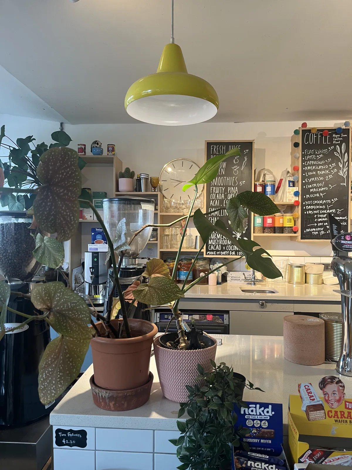 Plants, a yellow lamp, and some chalkboards in a coffeeshop. And a wall clock behind the plants. It points at 13 minutes to eight.