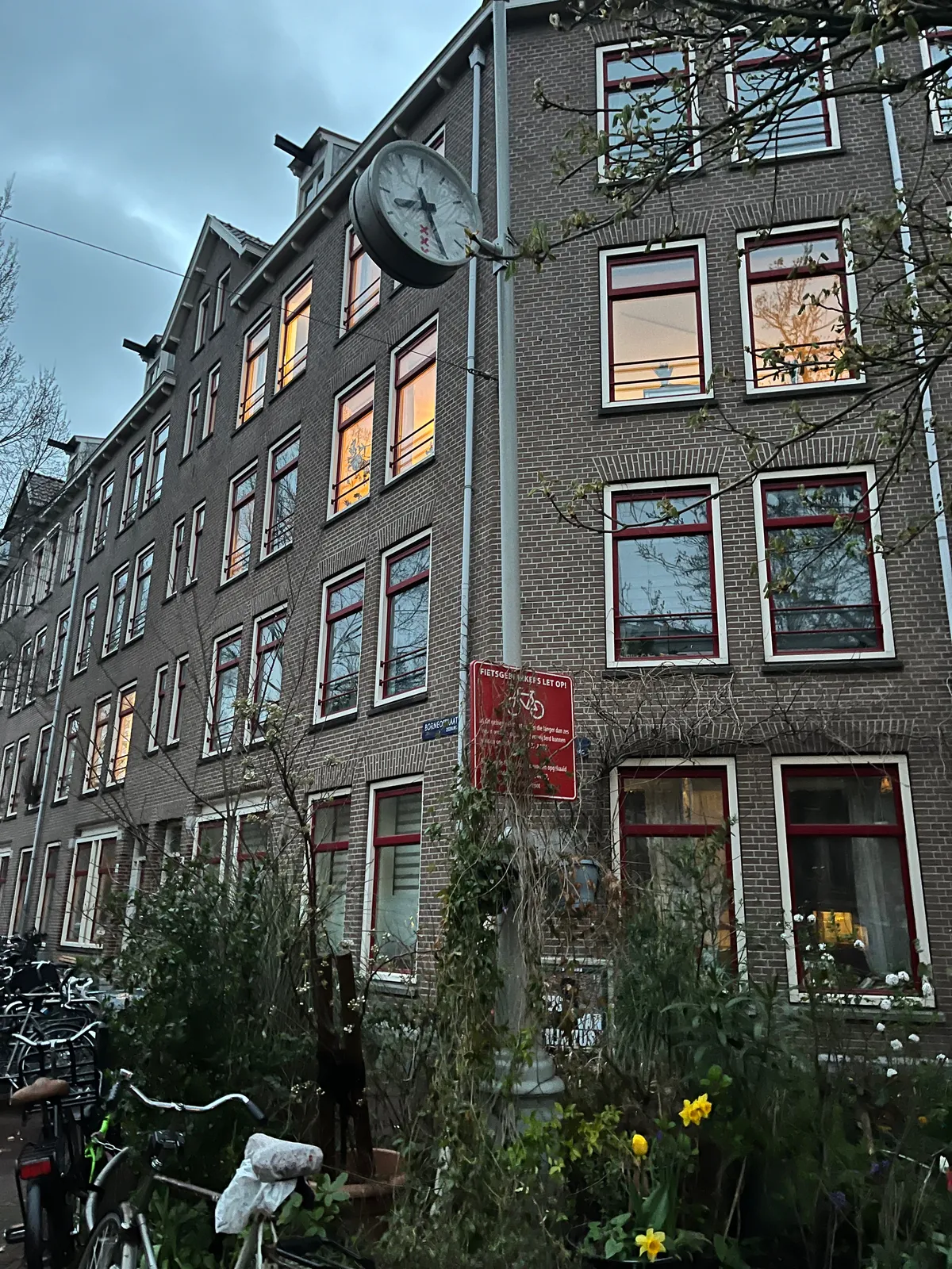 A street scene in Amsterdam with quite some plants (and bikes) on the foreground. Also a lamp post with a clock attached to it. On this clock it is 08:26.
