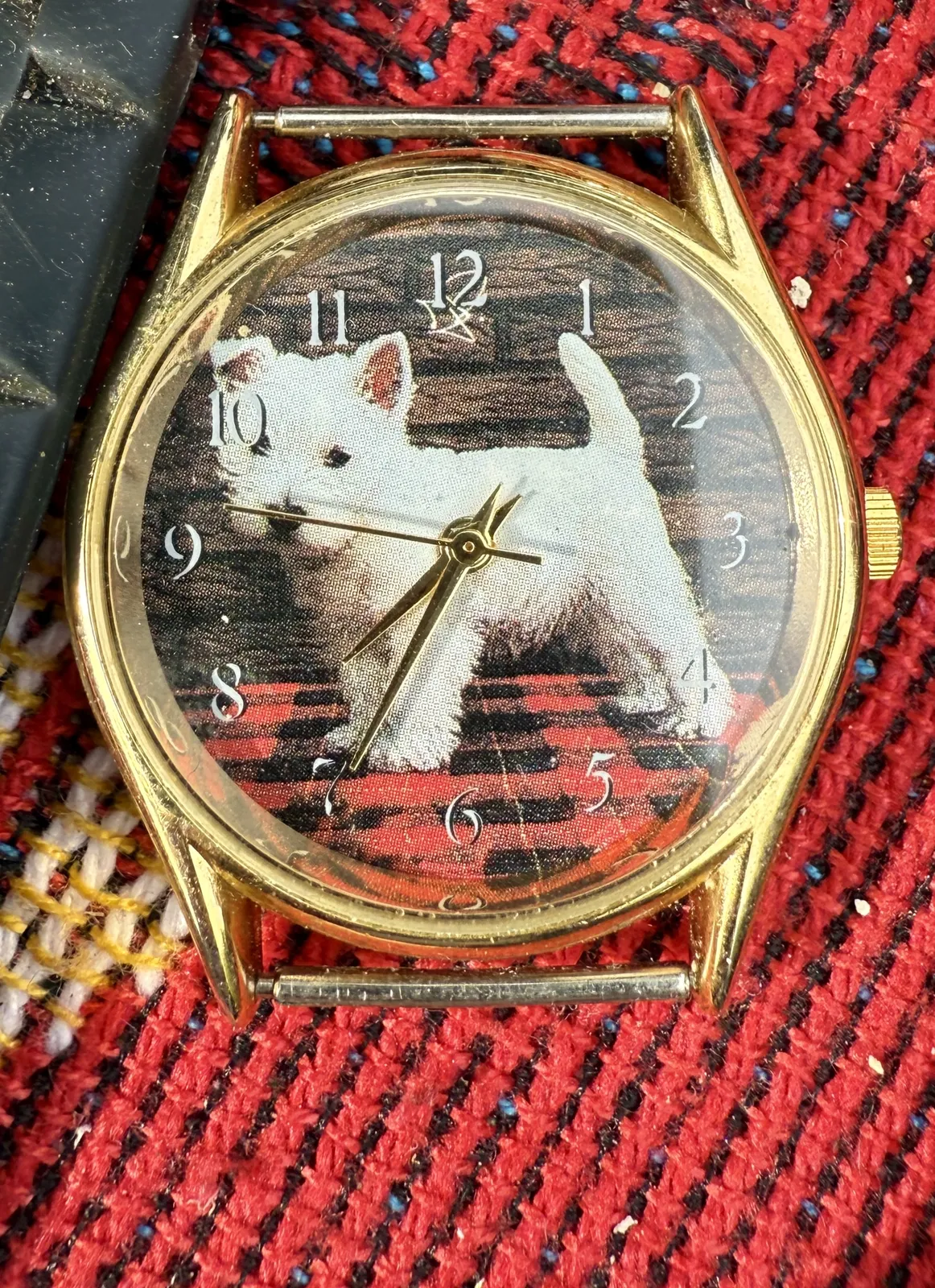 A watch on a red rug, with a small white puppy printed on its face. The puppy stands on a red rug as well. The watch points at 35 minutes past eight.
