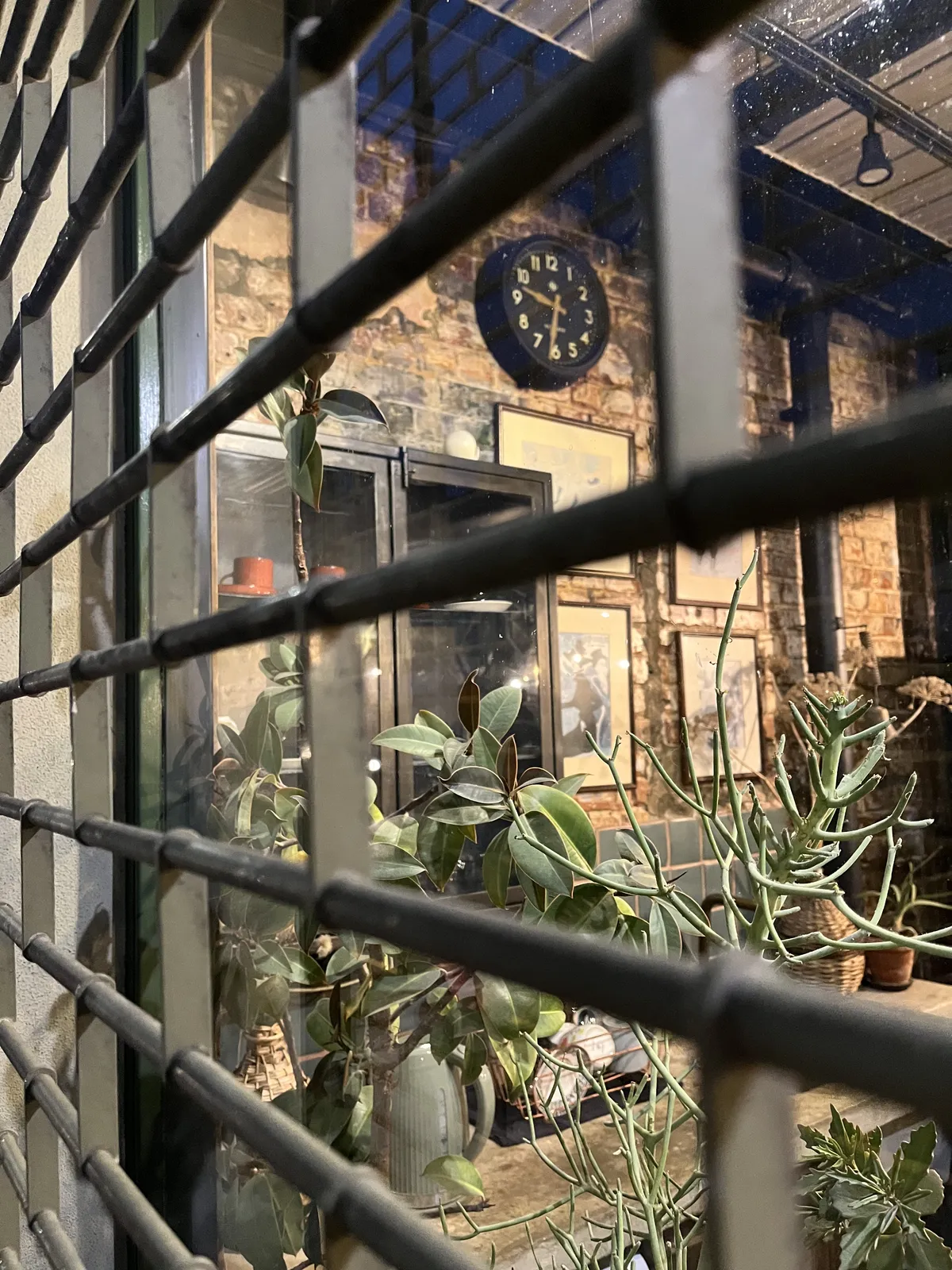 Peeking through the rolled down roll down shutters you can see some plants and a wall clock on a brick wall. It points at 31 minutes past nine.