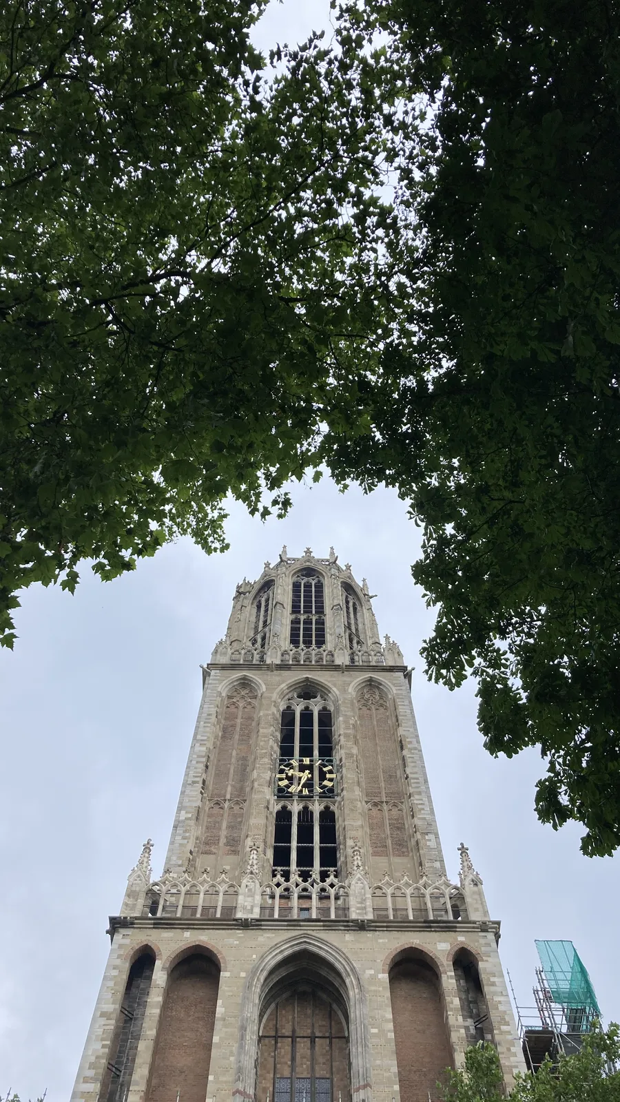 Looking up to the green branches of two trees. Between the trees there’s the enormous tower of the Dom in Utrecht. On the tower there’s a clock that points at 33 minutes past 9.