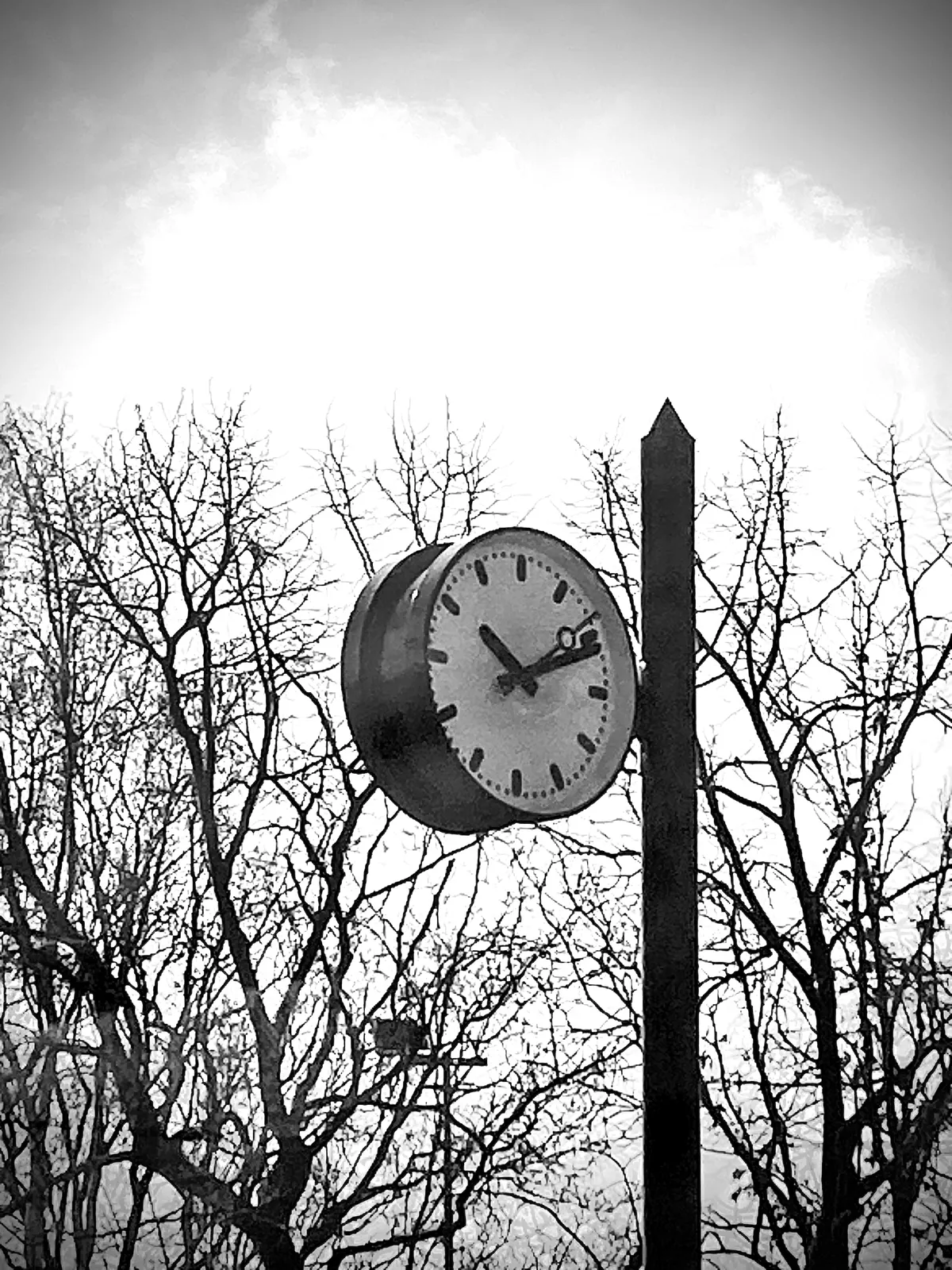 A clock attached to a pole. In the background cloudy weather and leafless trees. The clock points at 11 past 10.