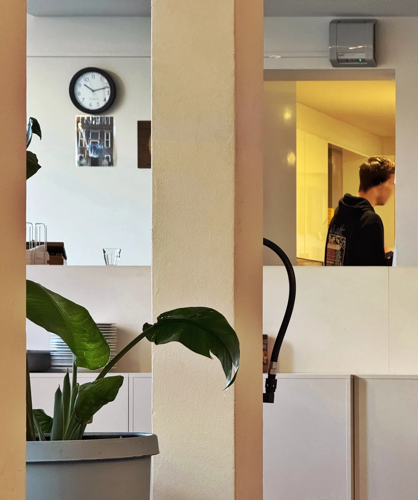 Peeking past a plant, and two columns at a wall clock behind a desk. It points at 13 minutes past ten.