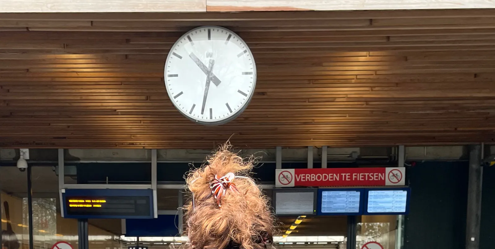 There’s a sign that says that it’s prohibited to ride a bicycle. There’s also the head of a person, seen from behind. And there’s also a clock. According to this clock it is 32 past 10. 