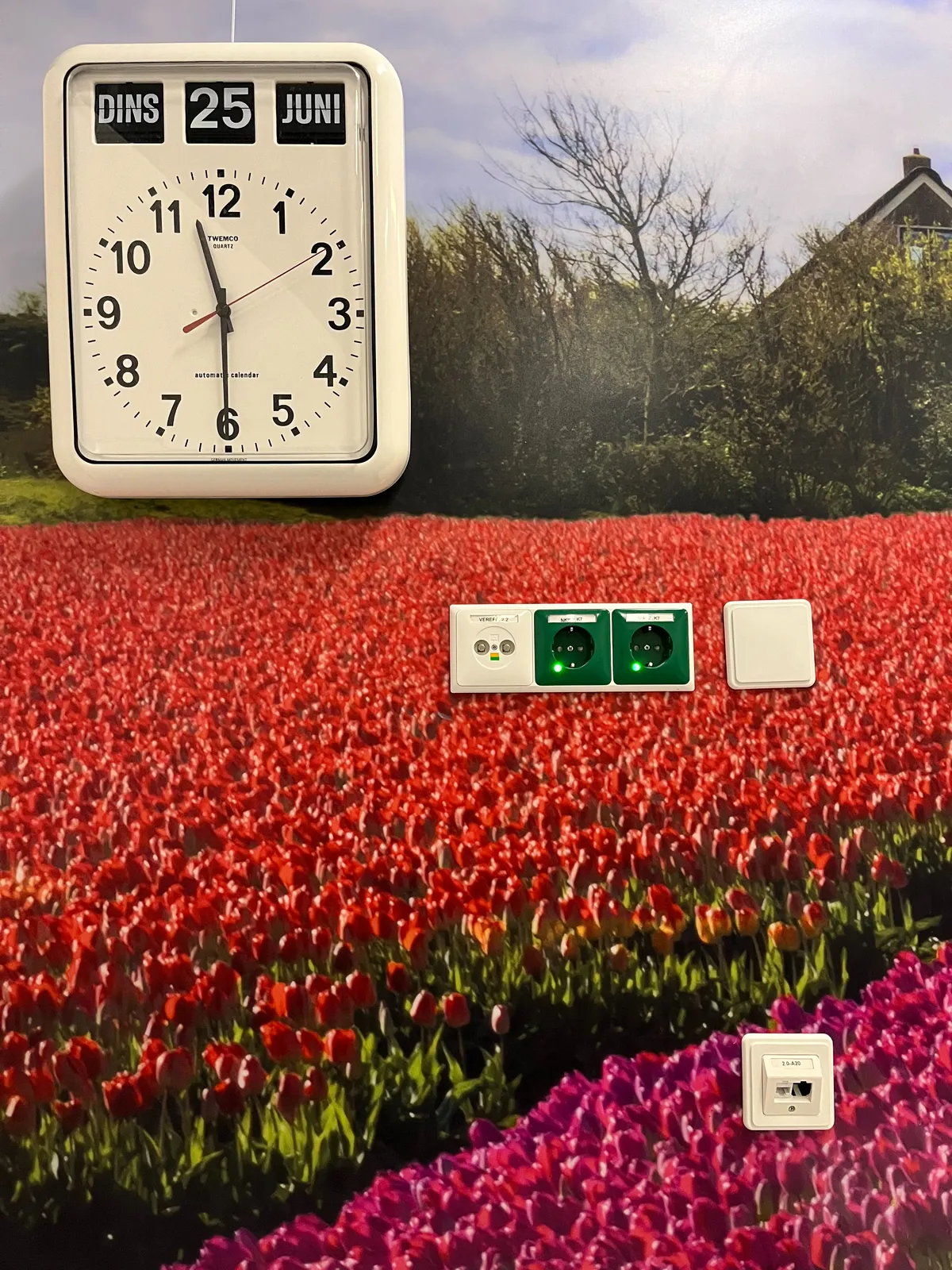 There are different kinds of wall plugs attached to a field of tulips, obviously a wallpaper picture of a field of tulips. There’s also a clock over the sky, which points at half past 11.