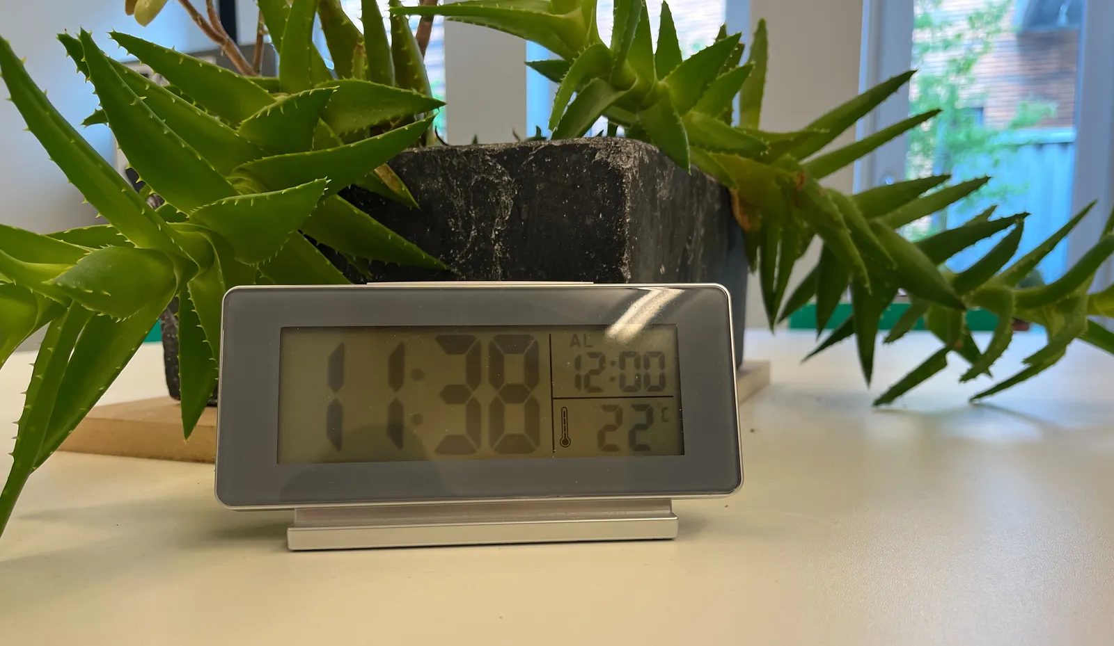 A digital alarm clock on a table. Behind it is a pointy, cactus-like plant. Apart from showing the time, on the clock’s display there’s information about the temperature, 22 degrees Celcius, and it says that the alarm will go off at 12:00. It displays the time as 11:38