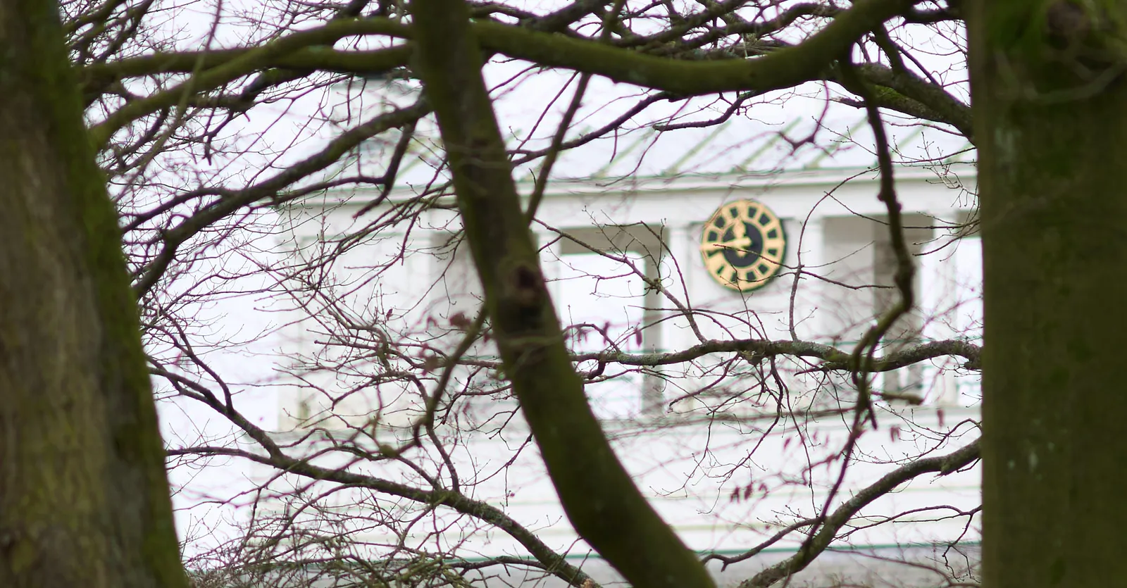 Peeking through the branches of two large wintery trees. Behind the trees there’s a white building with a clock on it. It points at 16 minutes to 12.