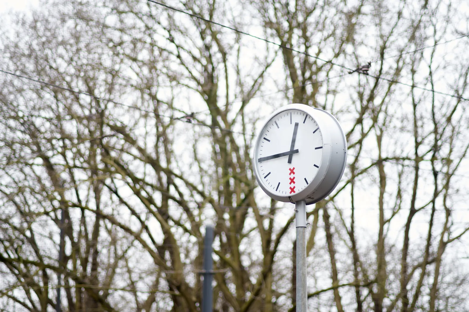 In the background there are some trees, and in the foreground is a clock. It’s of the municipality of Amsterdam and it points at a quarter to one.
