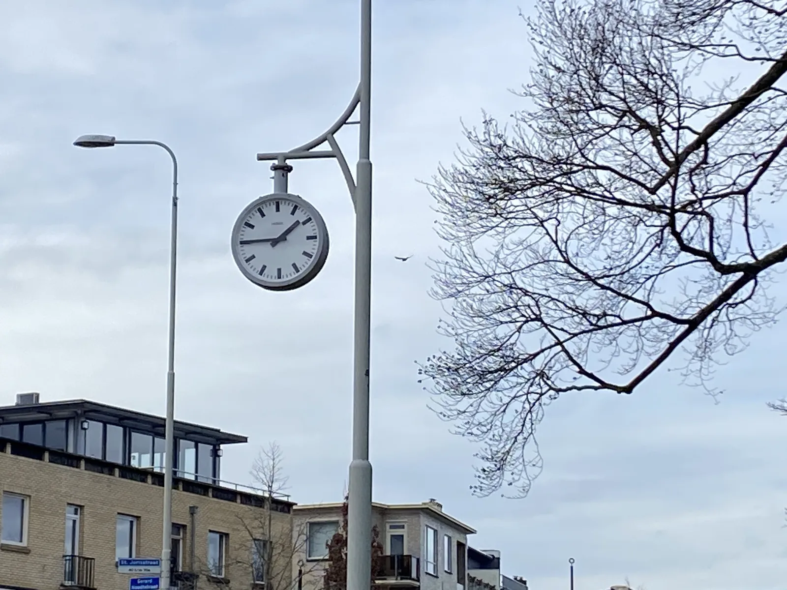 A tree, a modern building, in the background there’s a bird flying. There’s also a clock attached to a street light. It points at a quarter to 2.
