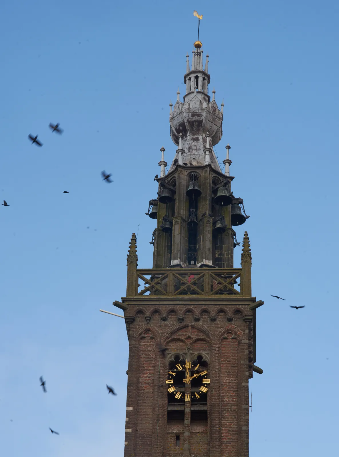 Crows fly around this church tower. The clock on the tower says it is one minute to two.