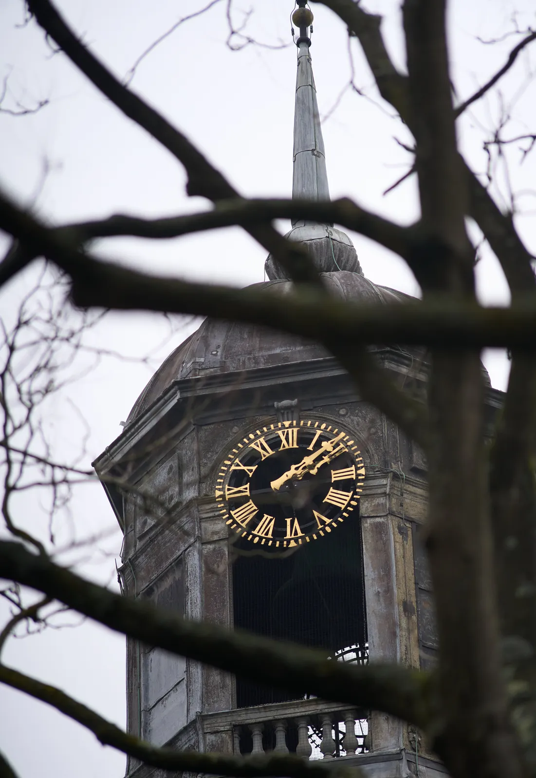 Peeking through some leafless branches towards a golden clock on a tower. It points at 8 minutes past 2. 