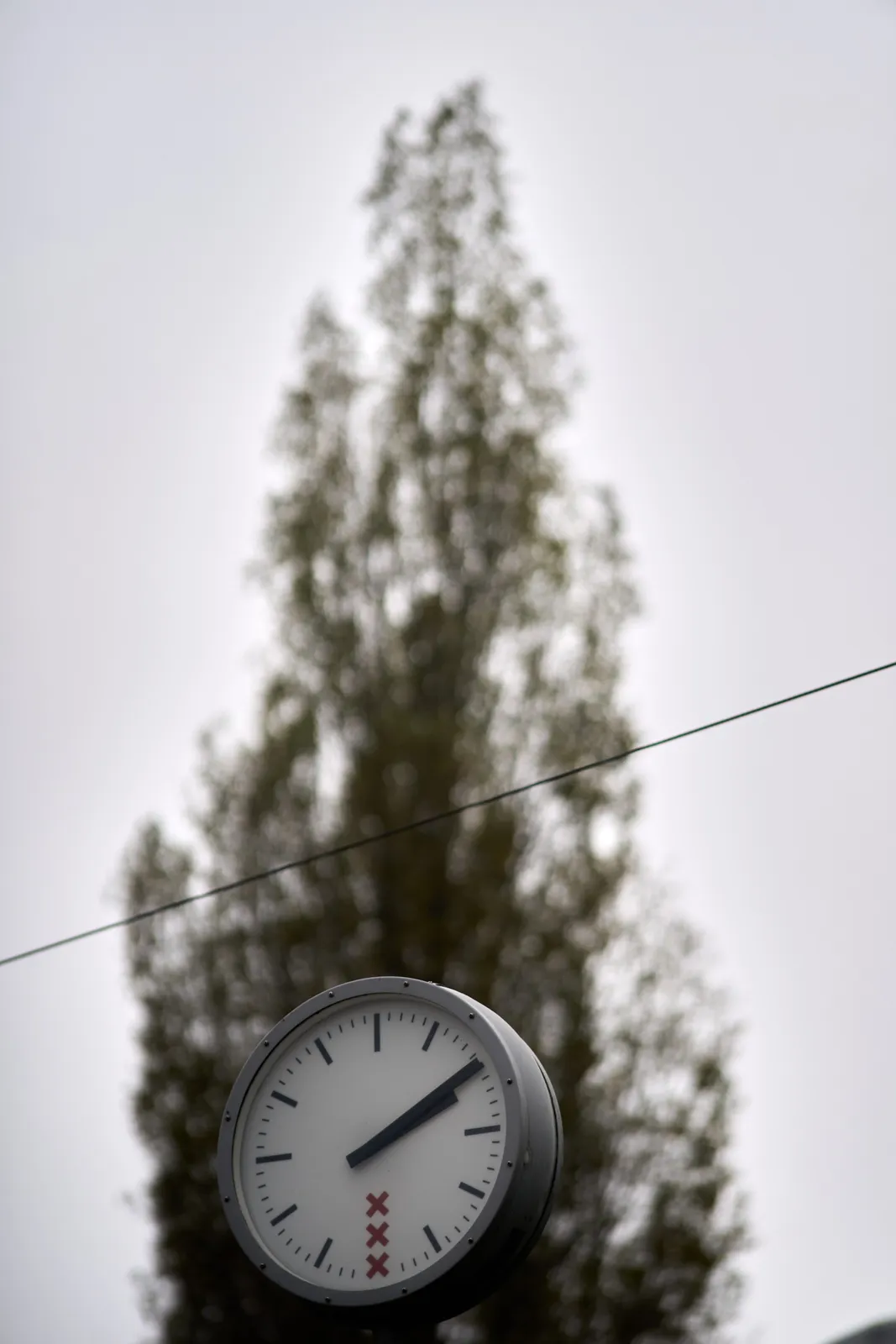 A clock from the municipality of Amsterdam. It’s placed at the bottom of the picture, with a high, thin tree towering up behind it. The clock points at 10 past 2.