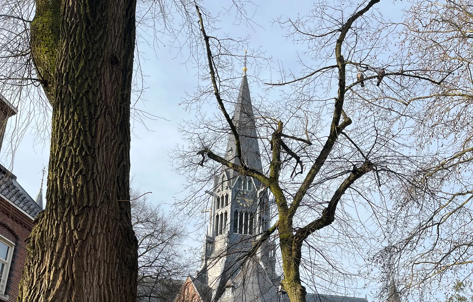 Looking through some trees, with leafless branches, at the tower of a church, with a clock on it. It points at 16 past 4.