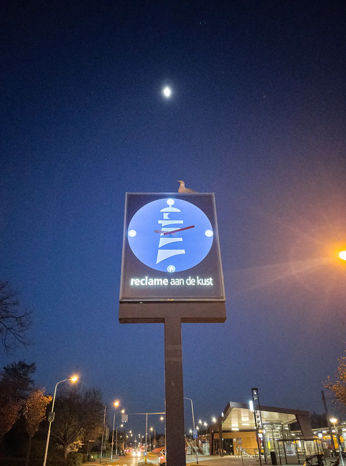 A square blue clock on a pole, with a plastic seagull sitting on top, against a dark sky, with the moon shining bright straight above it. It says, in Dutch: Advertising at the beach. The clock points at 12 minutes past 9.