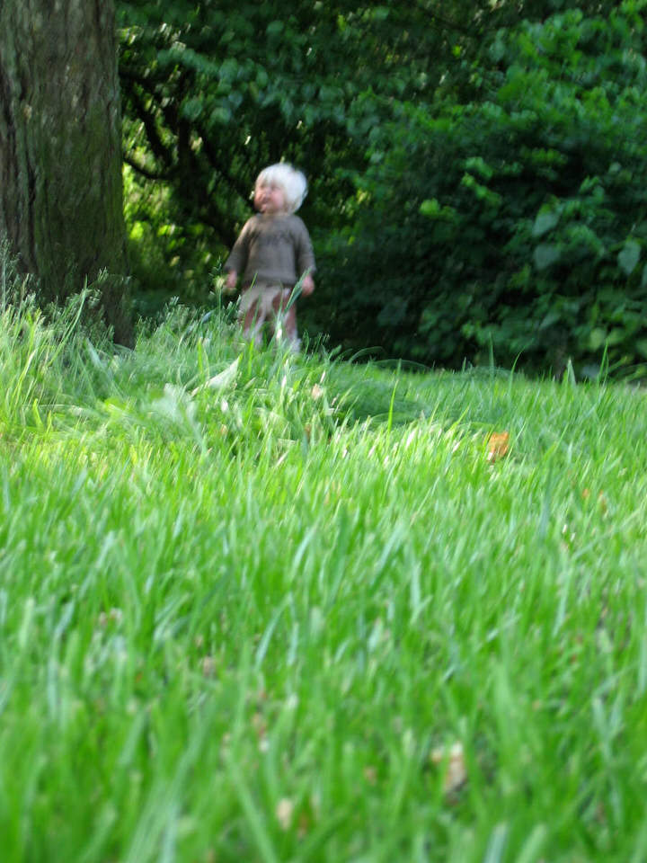 janosch in het vondelpark, de grote versie