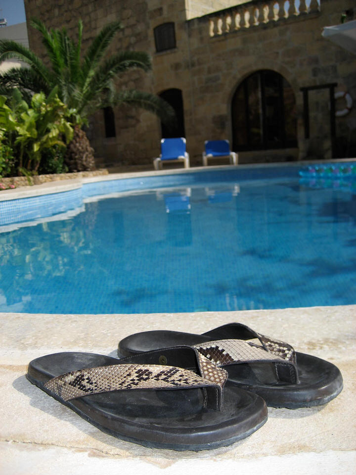 snakeskin slippers, de grote versie