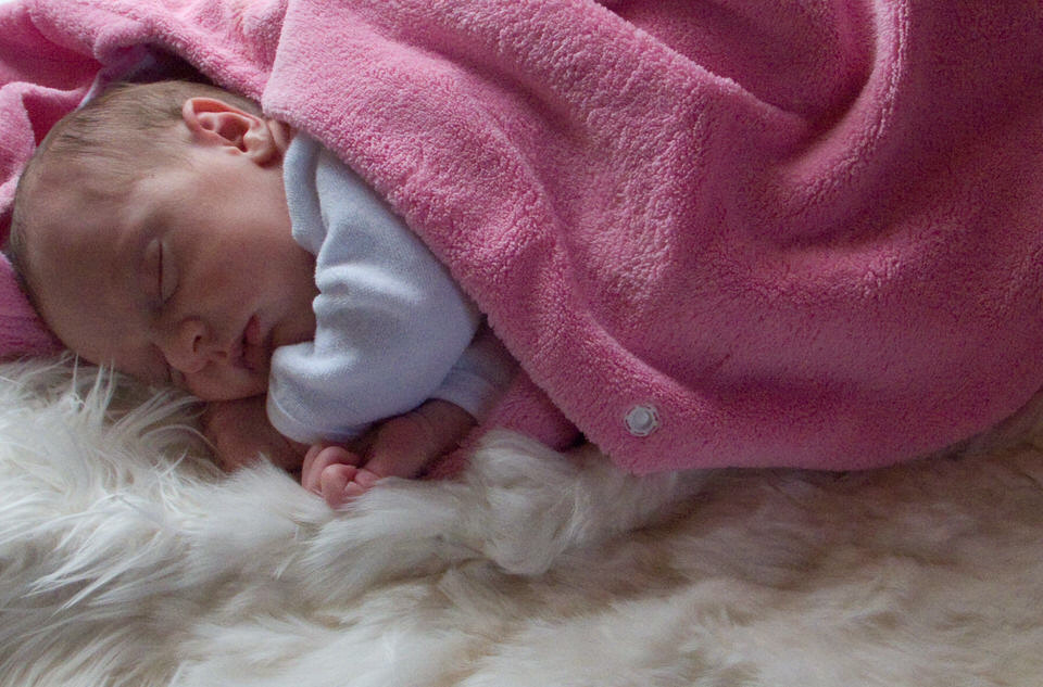 kiki op een alpacabontje, de grote versie