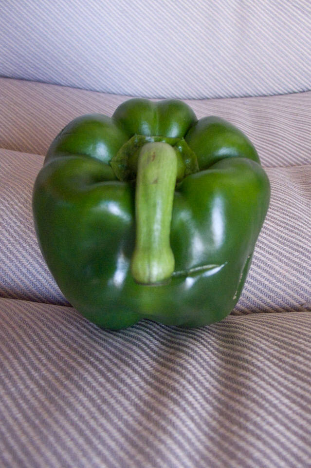 sjaggerijnige paprika, de grote versie