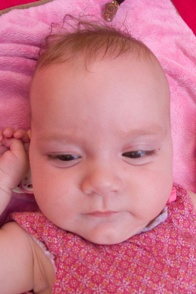 extreme close up 03, de grote versie