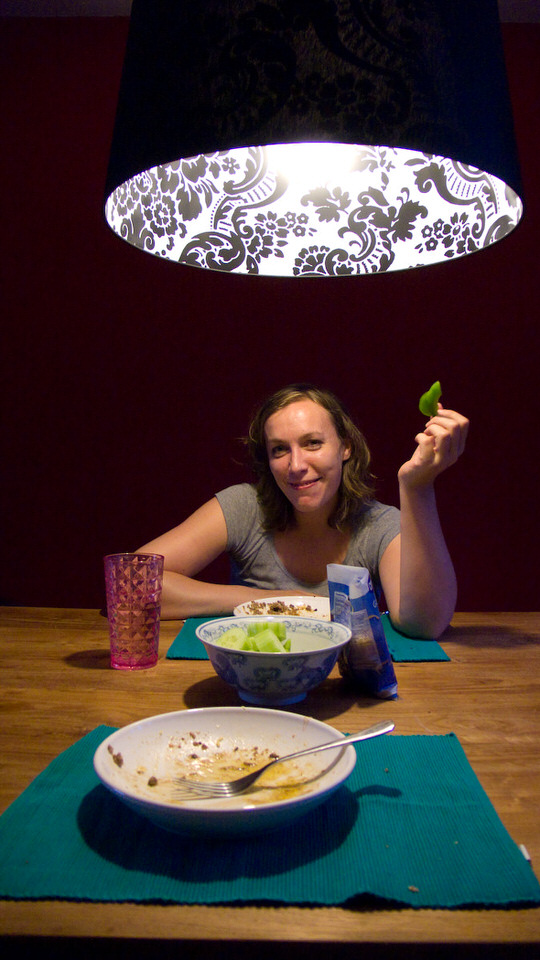 nieuwe lamp, de grote versie