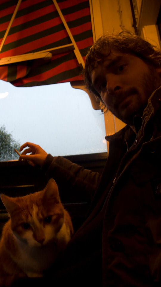 wijn met kat, de grote versie