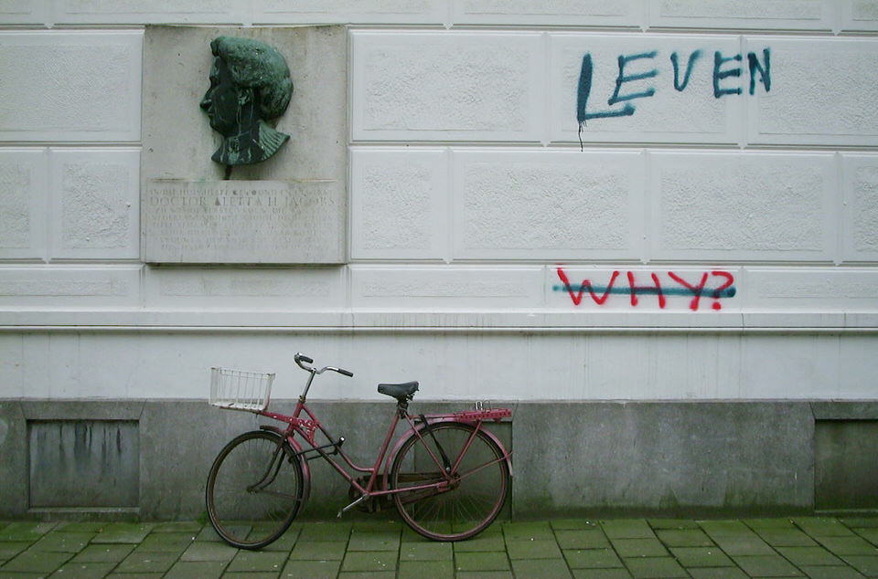 leven why, de grote versie