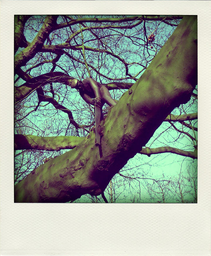 zagertje poladroid, de grote versie