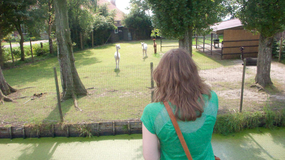 my first alpaca 01, de grote versie