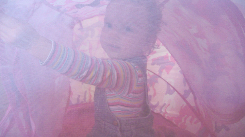 rosie in de tent, de grote versie