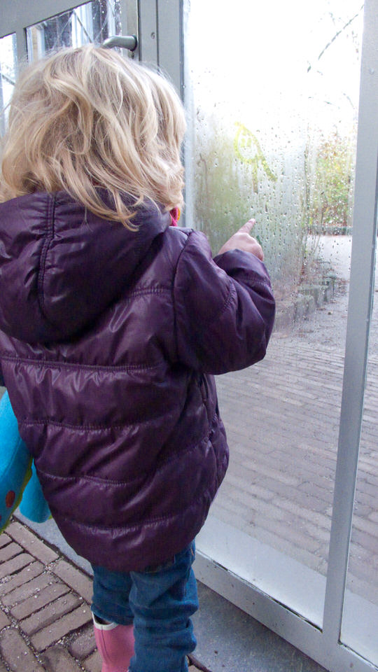 kiki in de hortus 01, de grote versie