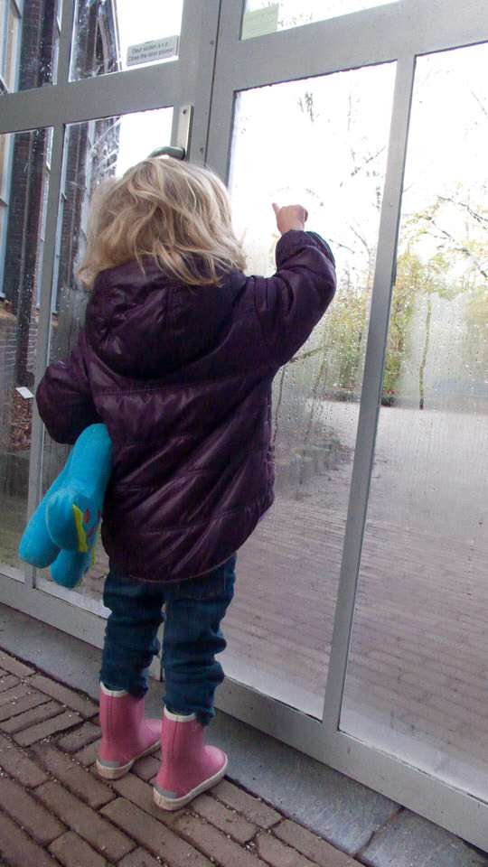 kiki in de hortus 02, de grote versie