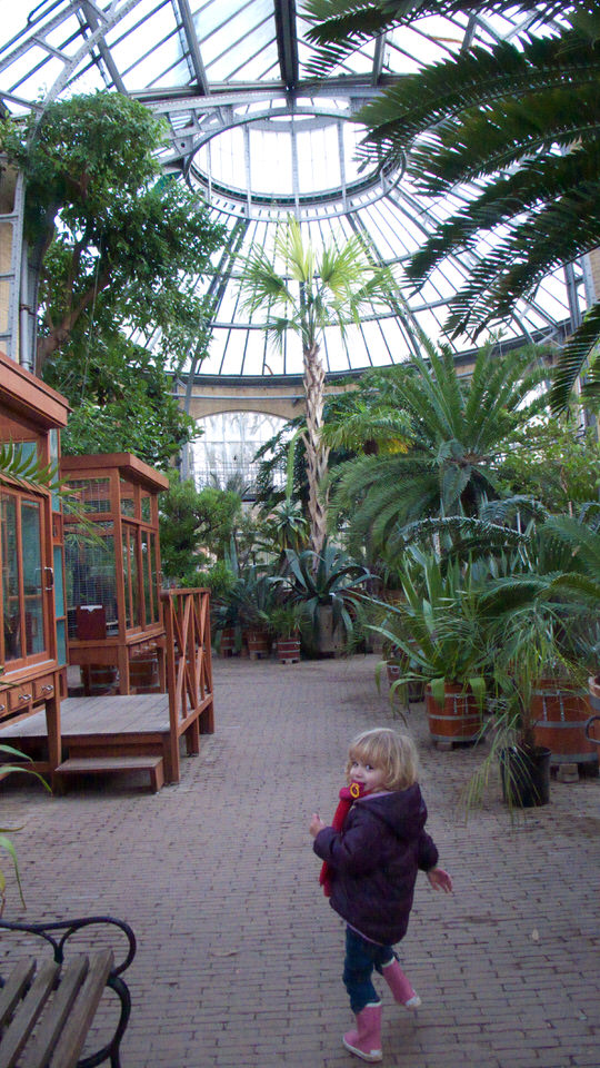 kiki in de hortus 03, de grote versie