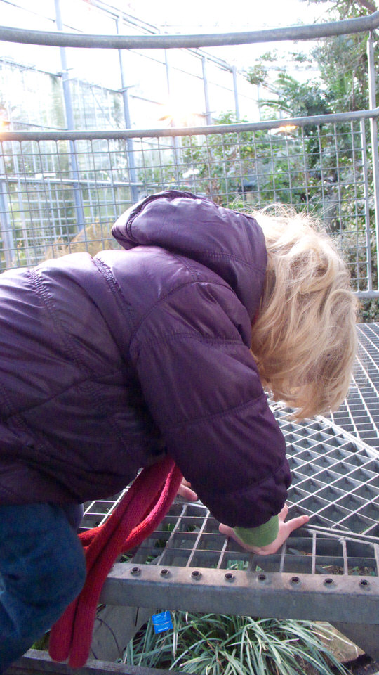 kiki in de hortus 04, de grote versie